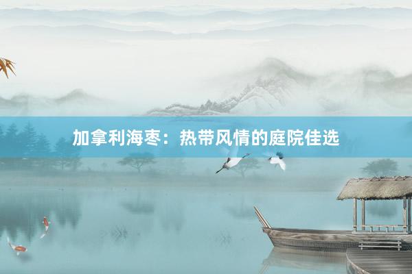 加拿利海枣：热带风情的庭院佳选